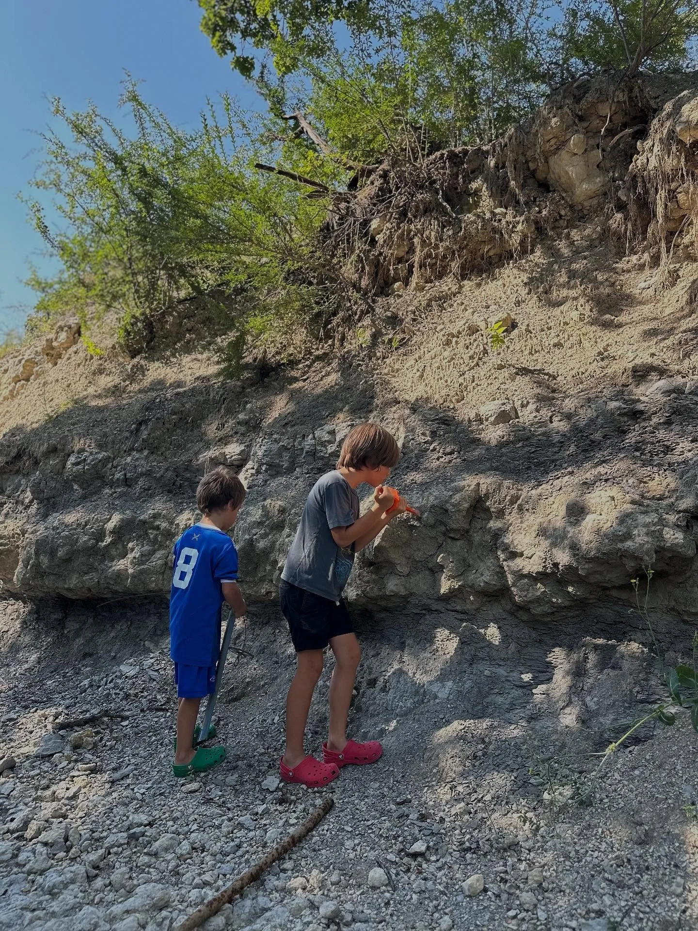 Early Summer fossil and frog hunting