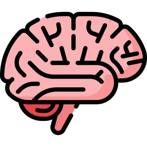Simplified graphic illustration of a human brain with pink and red colors on a black background.