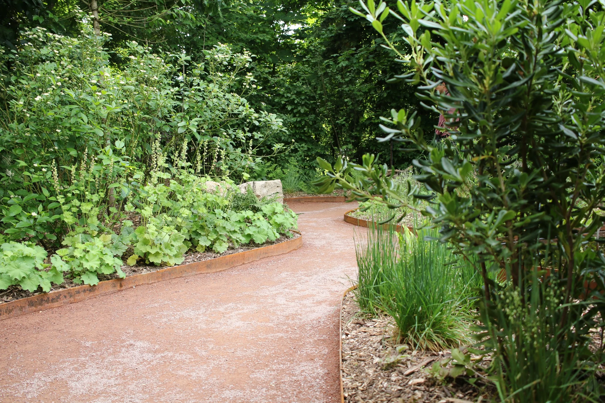 A winding garden pathway bordered by lush green plants and bushes, surrounded by trees in the background.