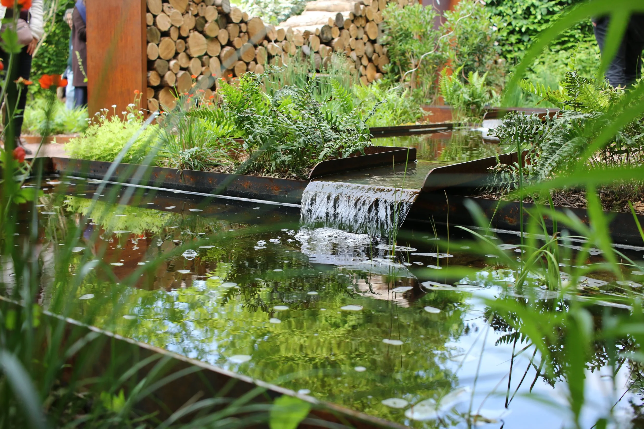 A garden with a small water feature and aquatic plants, surrounded by lush greenery and stacked firewood in the background.