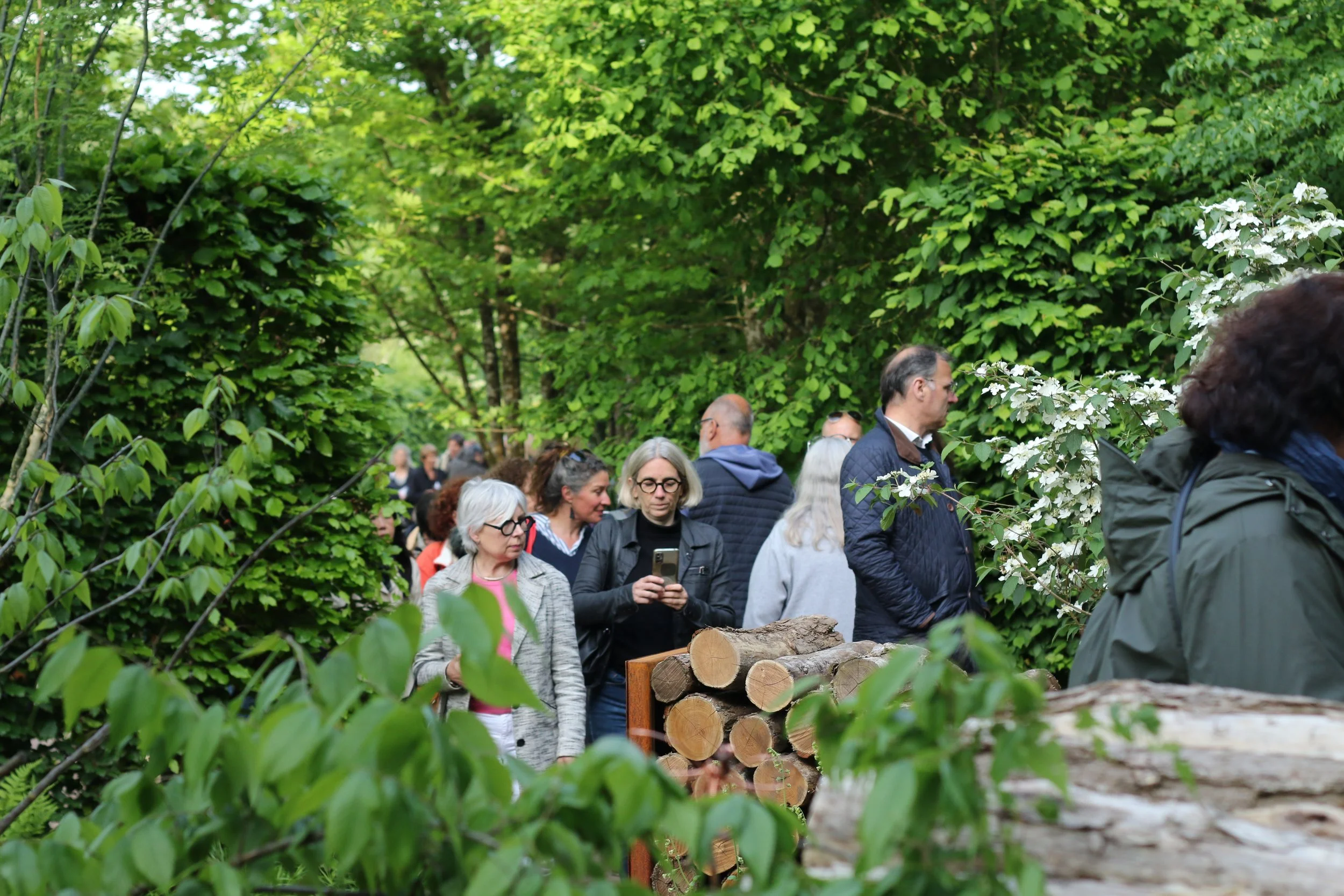 A group of people walking through a lush, green forested area with trees and bushes, some looking at their phones and others observing the surroundings.