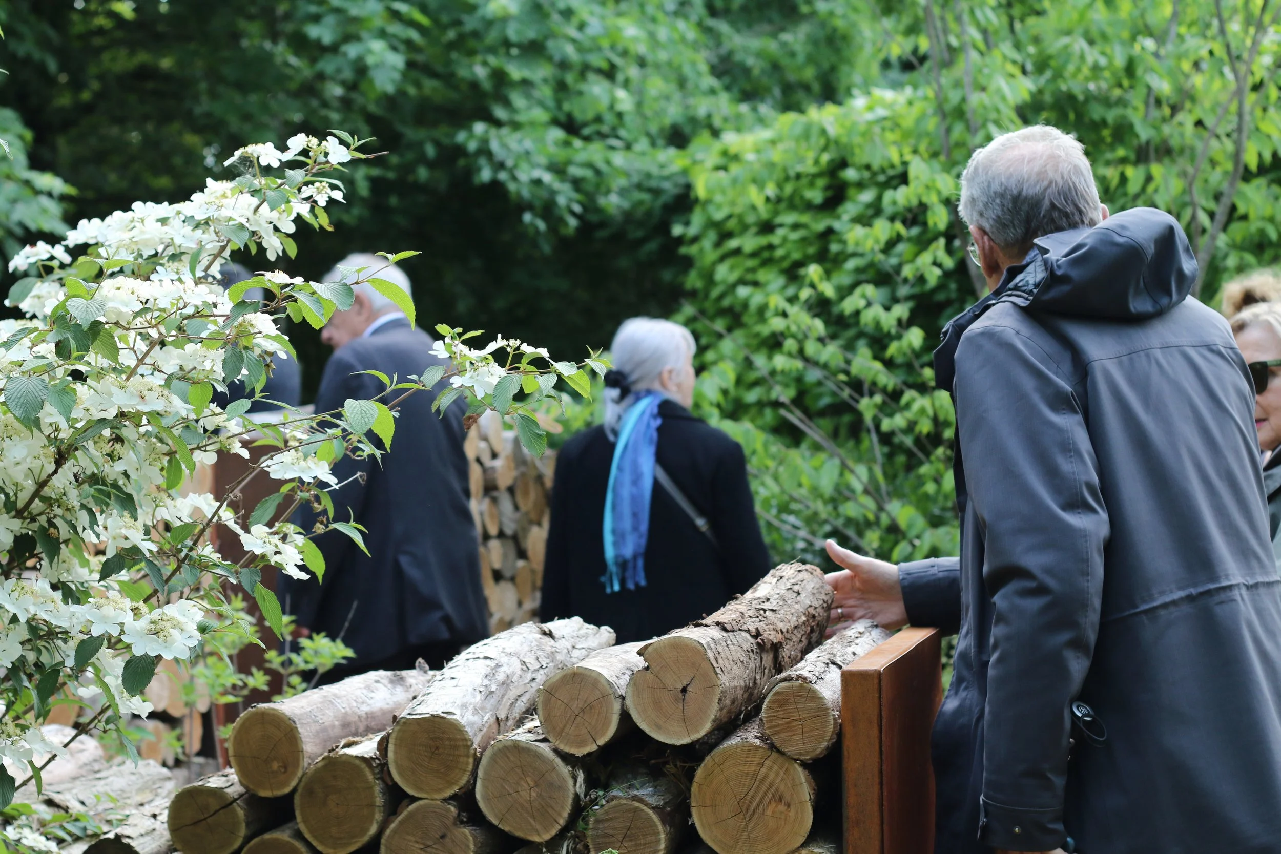 People gathered outdoors near a stack of cut logs, with lush green trees and foliage in the background.