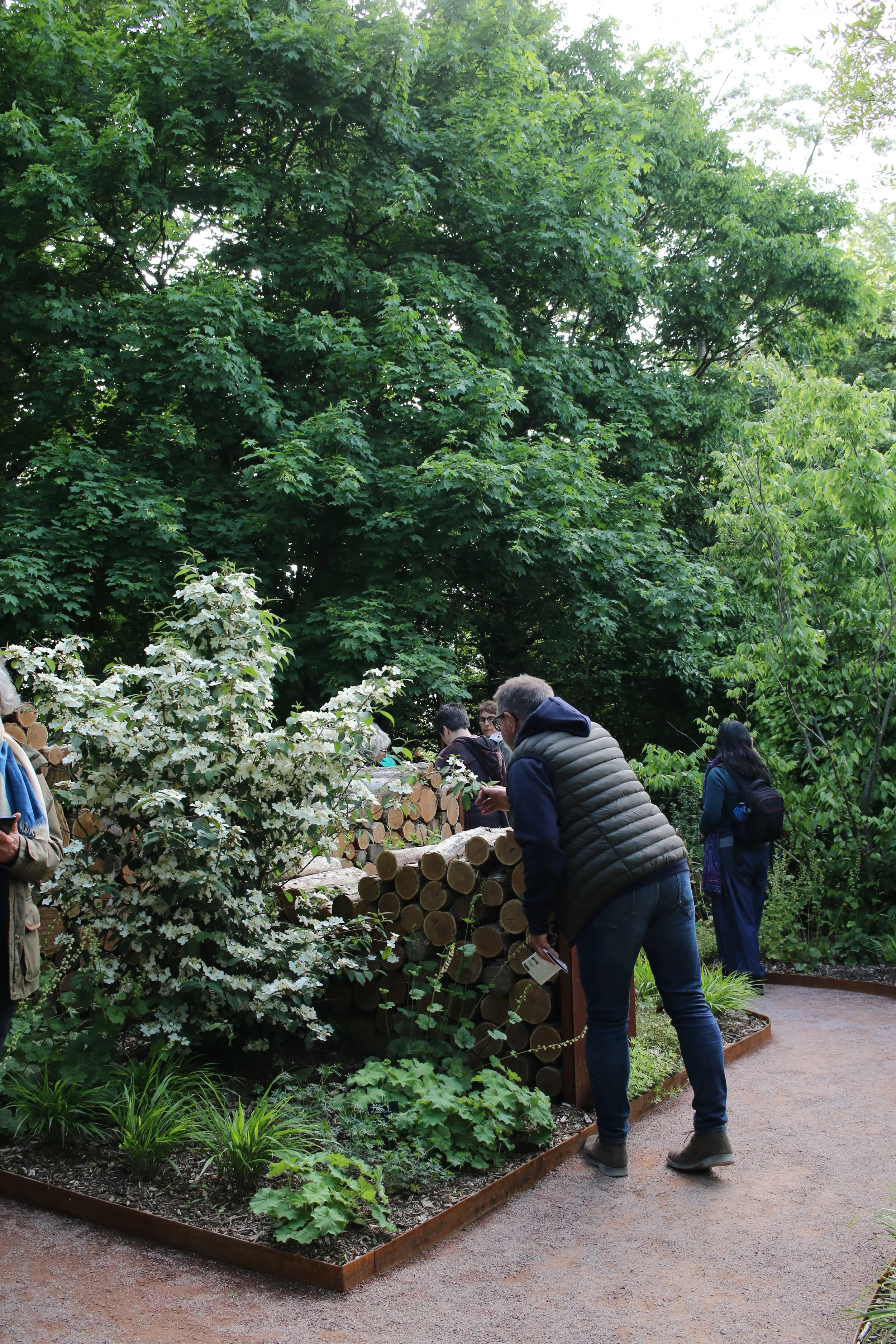 People observing a garden area with stacked logs, greenery, and trees in the background.