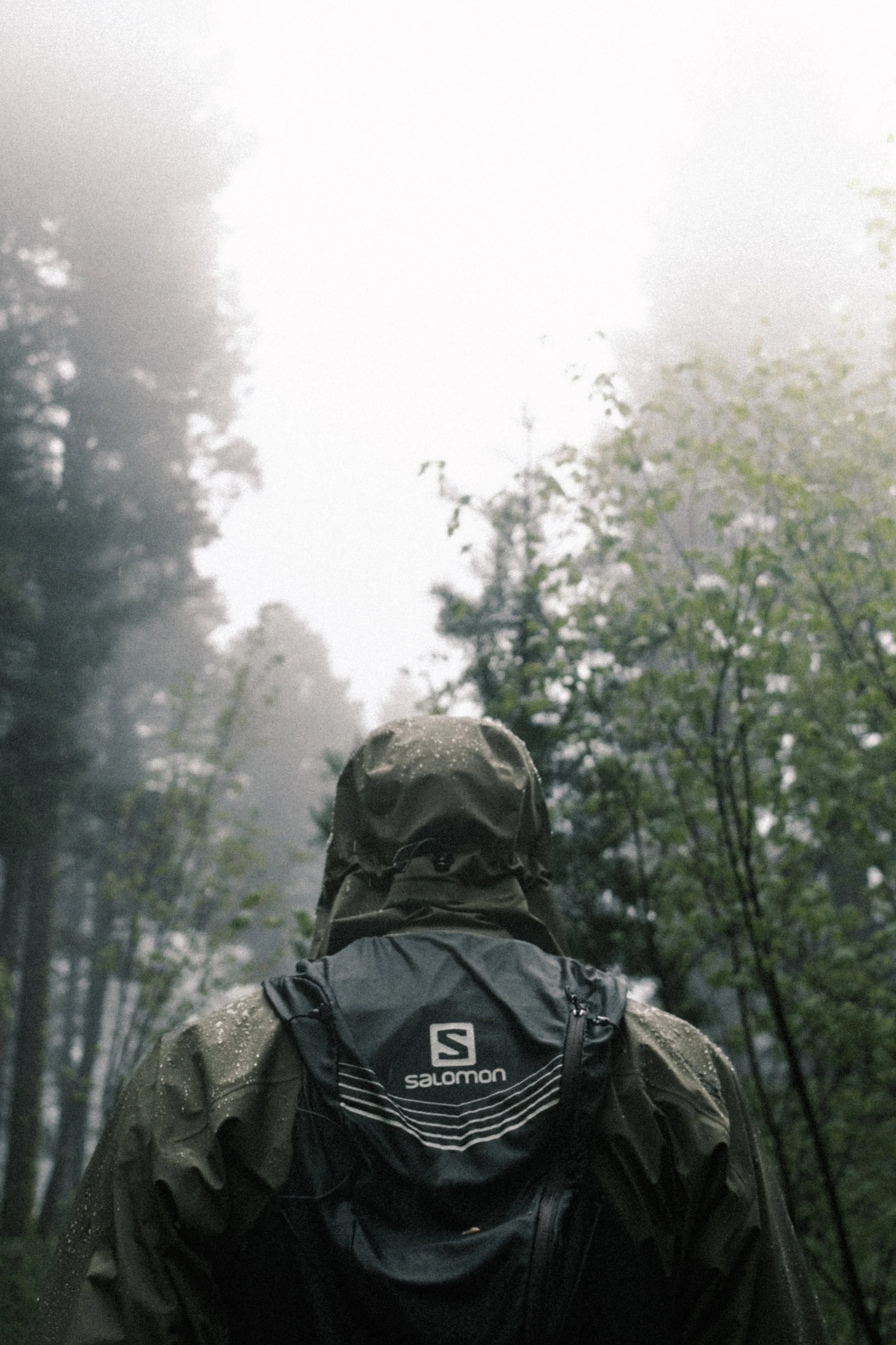 1-XT5X4951.jpg