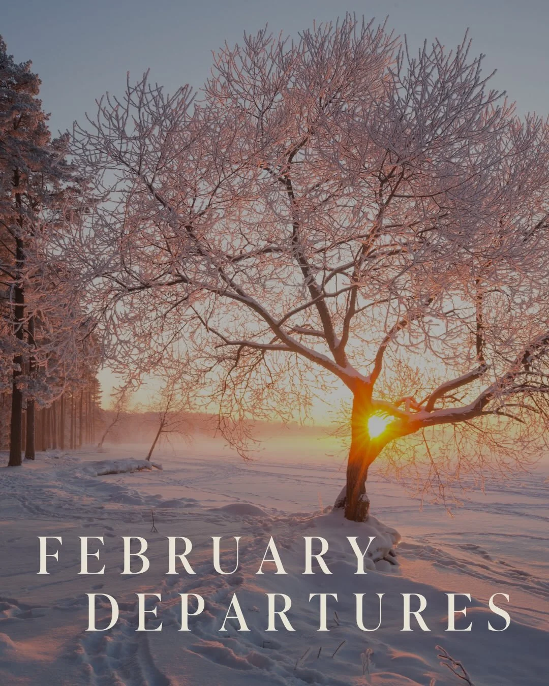 Punxsutawney Phil may be forecasting more winter, but KBT clients have other plans. It&rsquo;s that time of year when a little distance from the daily routine feels exactly like the reset you need.
 From sun-drenched shores in Jamaica to cozy corners