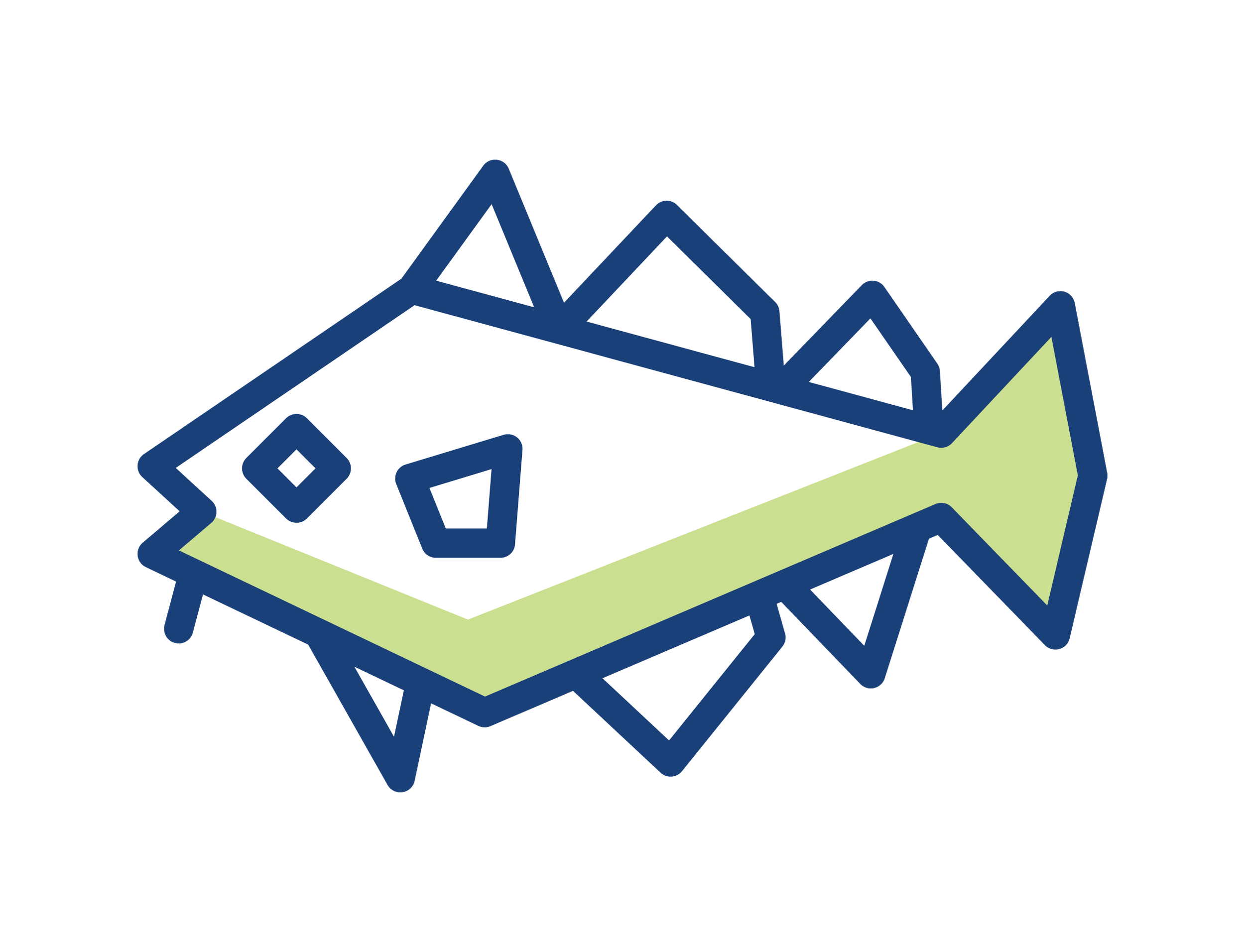 FANG_Atlantic_Cod.png