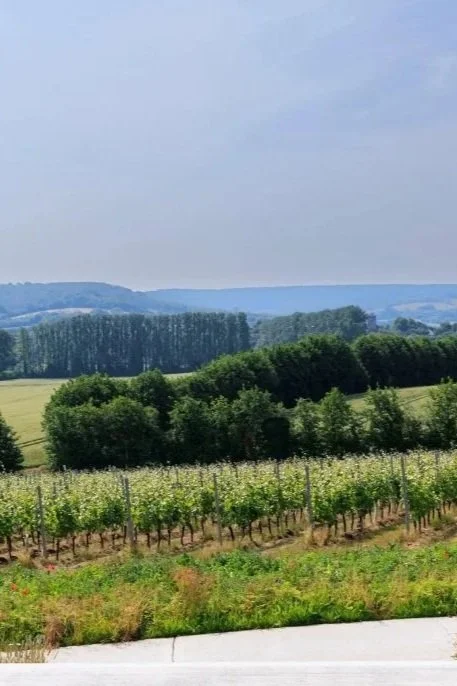 We go further when we go together