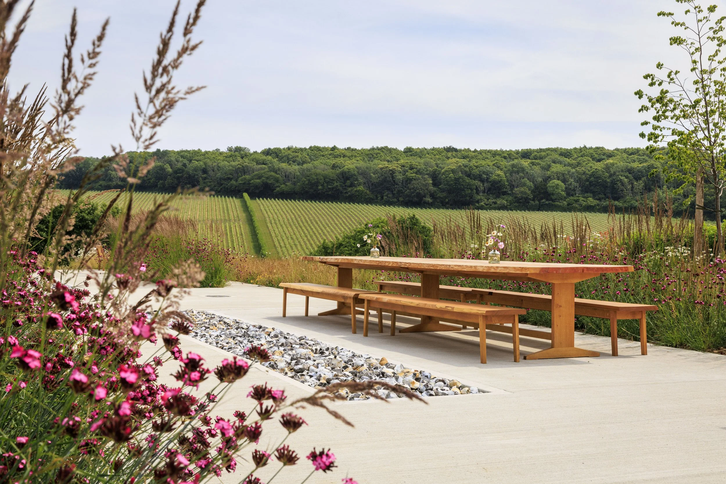 Domaine_Evremond_170_6521.jpg