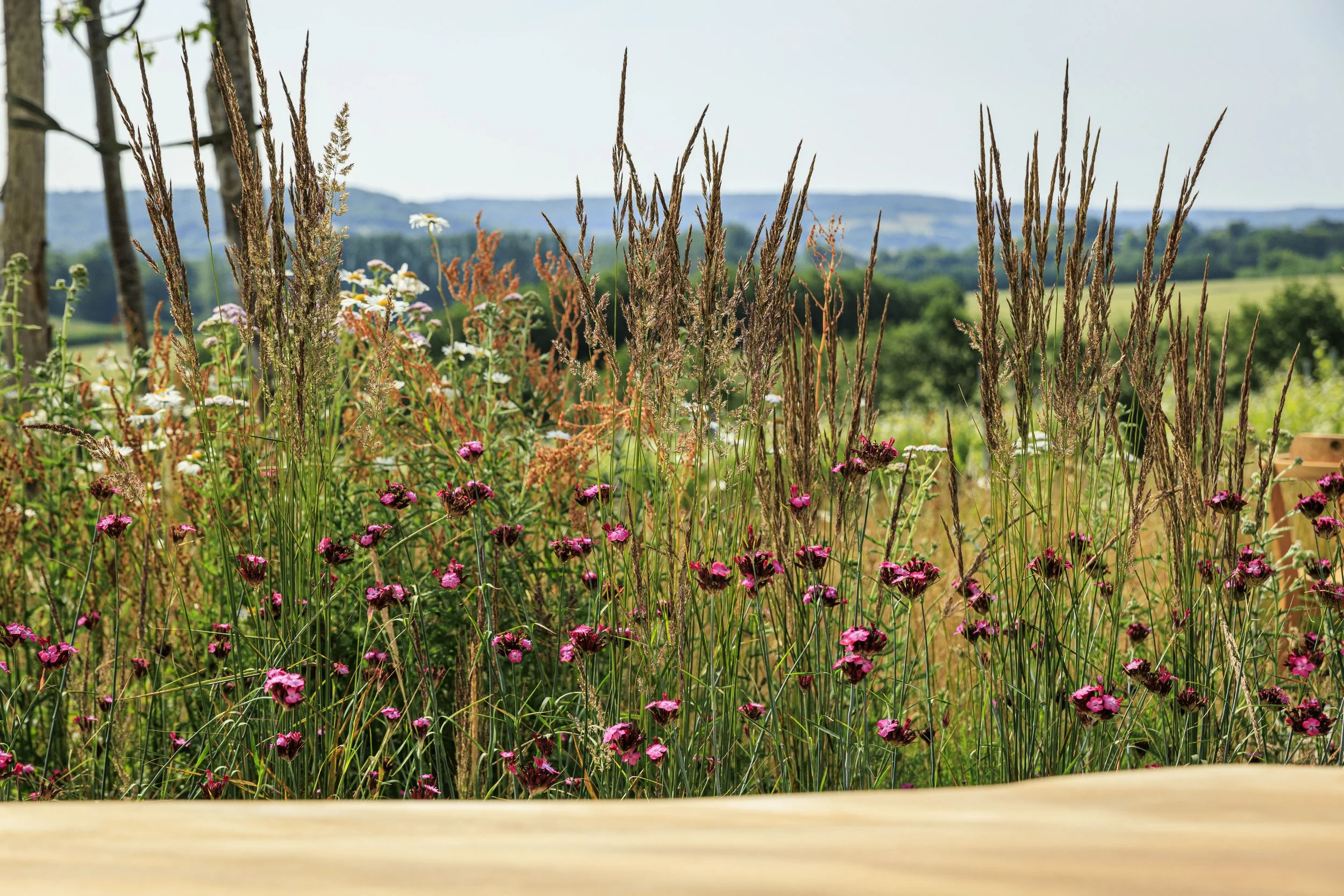 Domaine_Evremond_065_6188.jpg