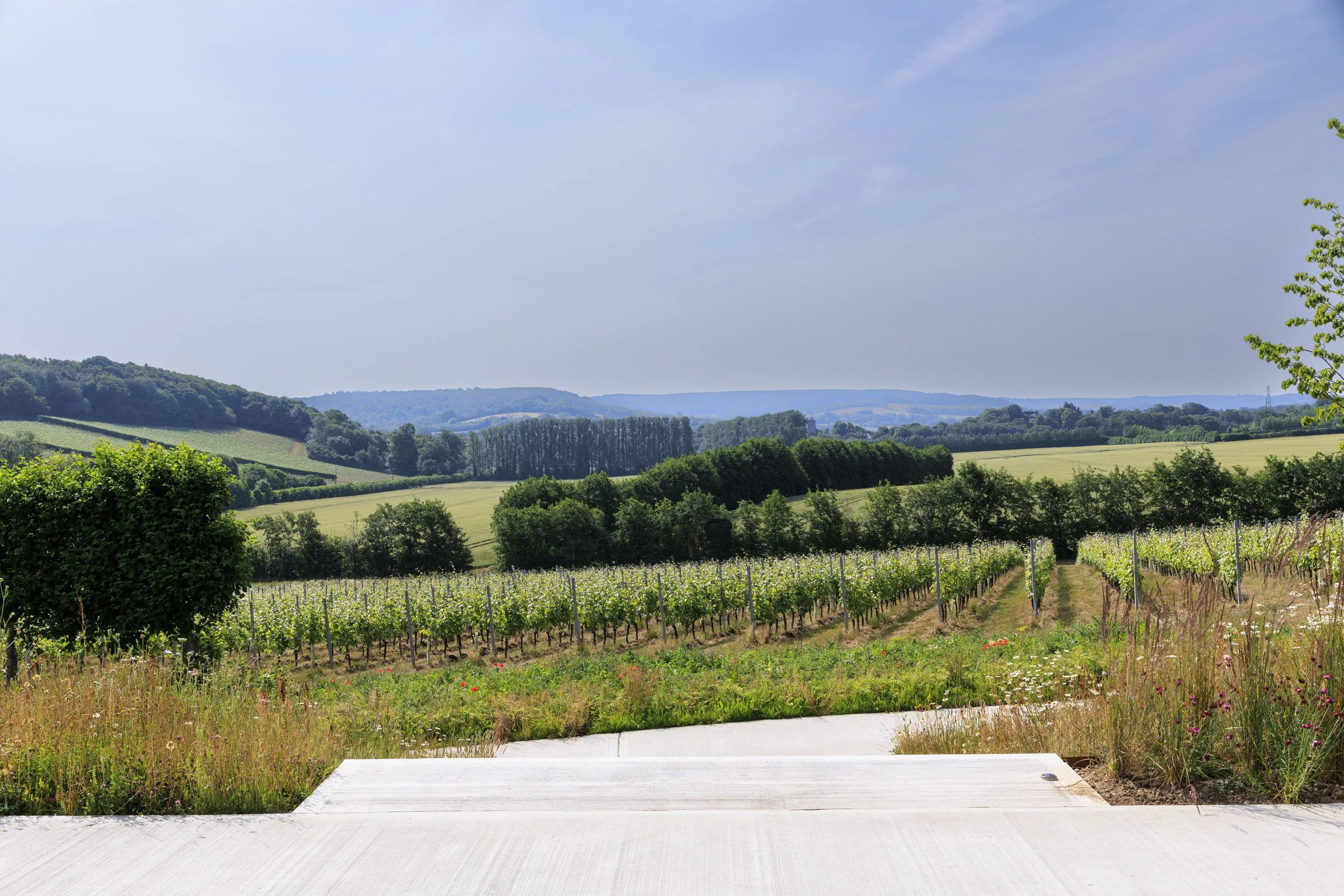Domaine_Evremond_056_6172.jpg