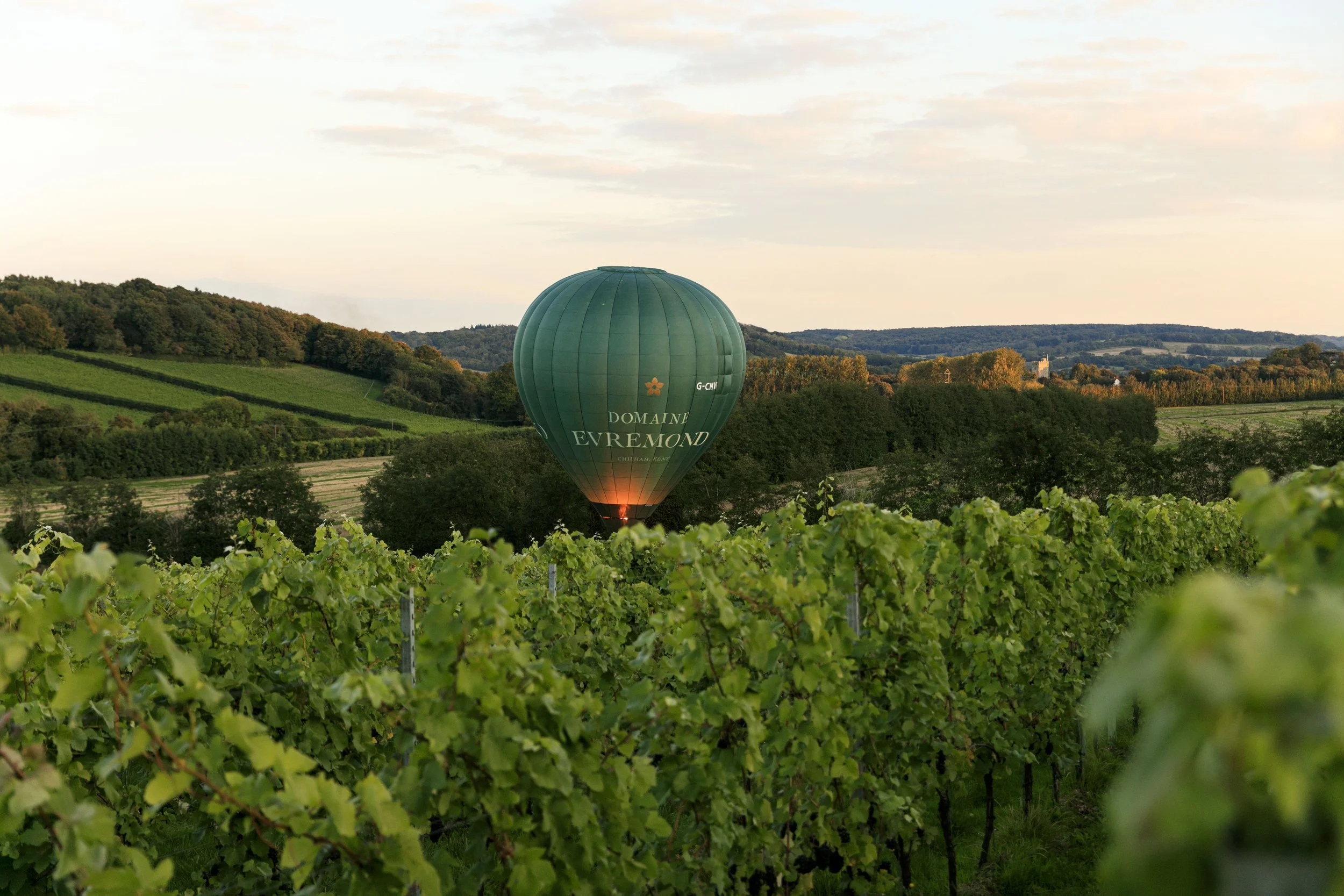 Domaine_Evremond_048_9056.jpg