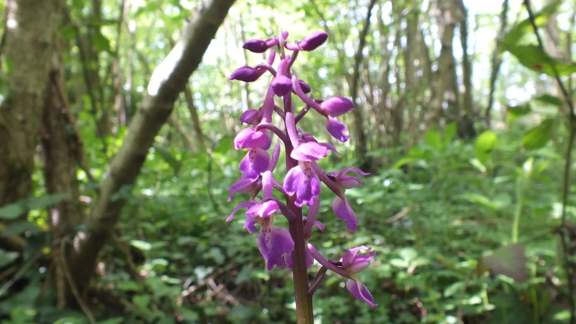 DSCF2908.JPG