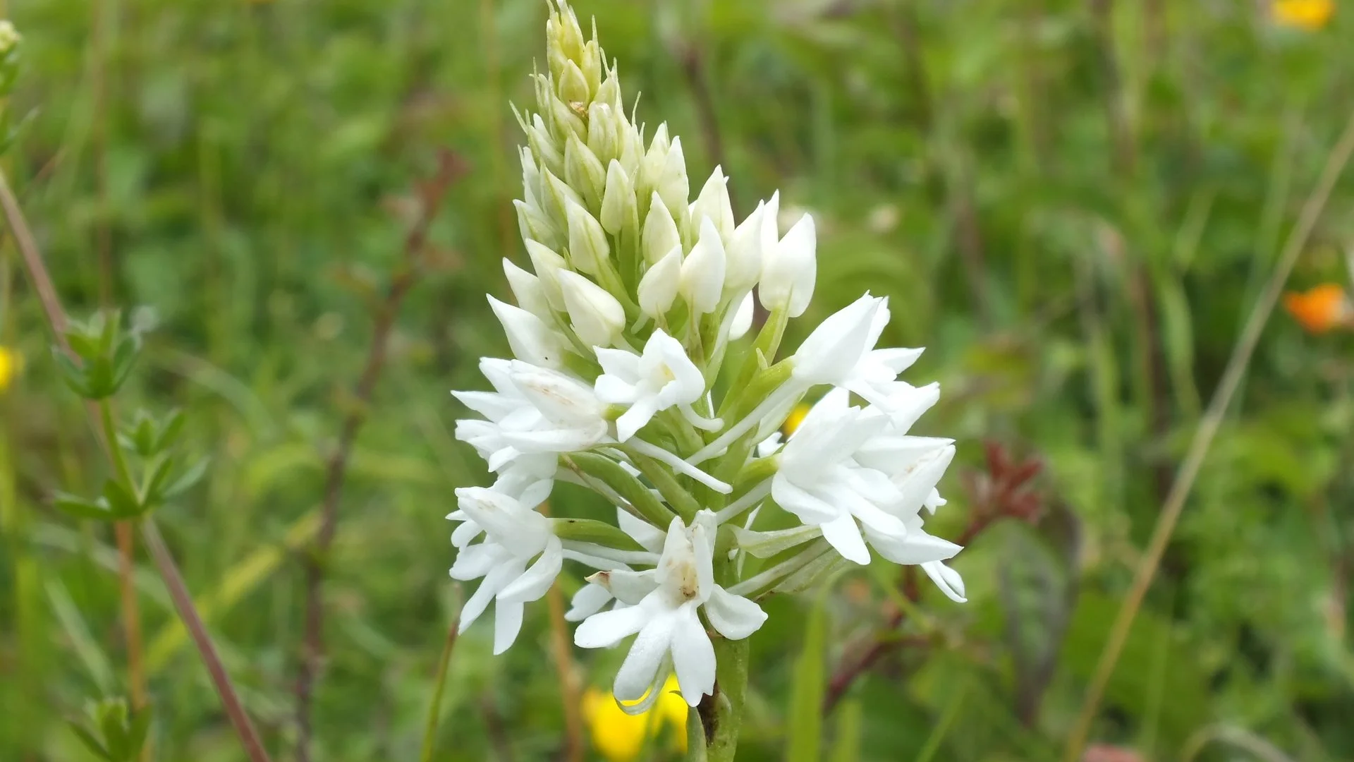DSCF5630.JPG