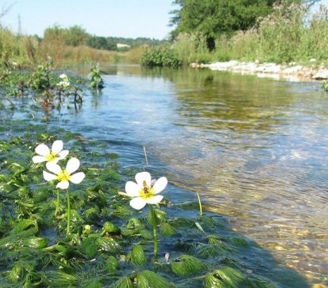 chalk stream.png