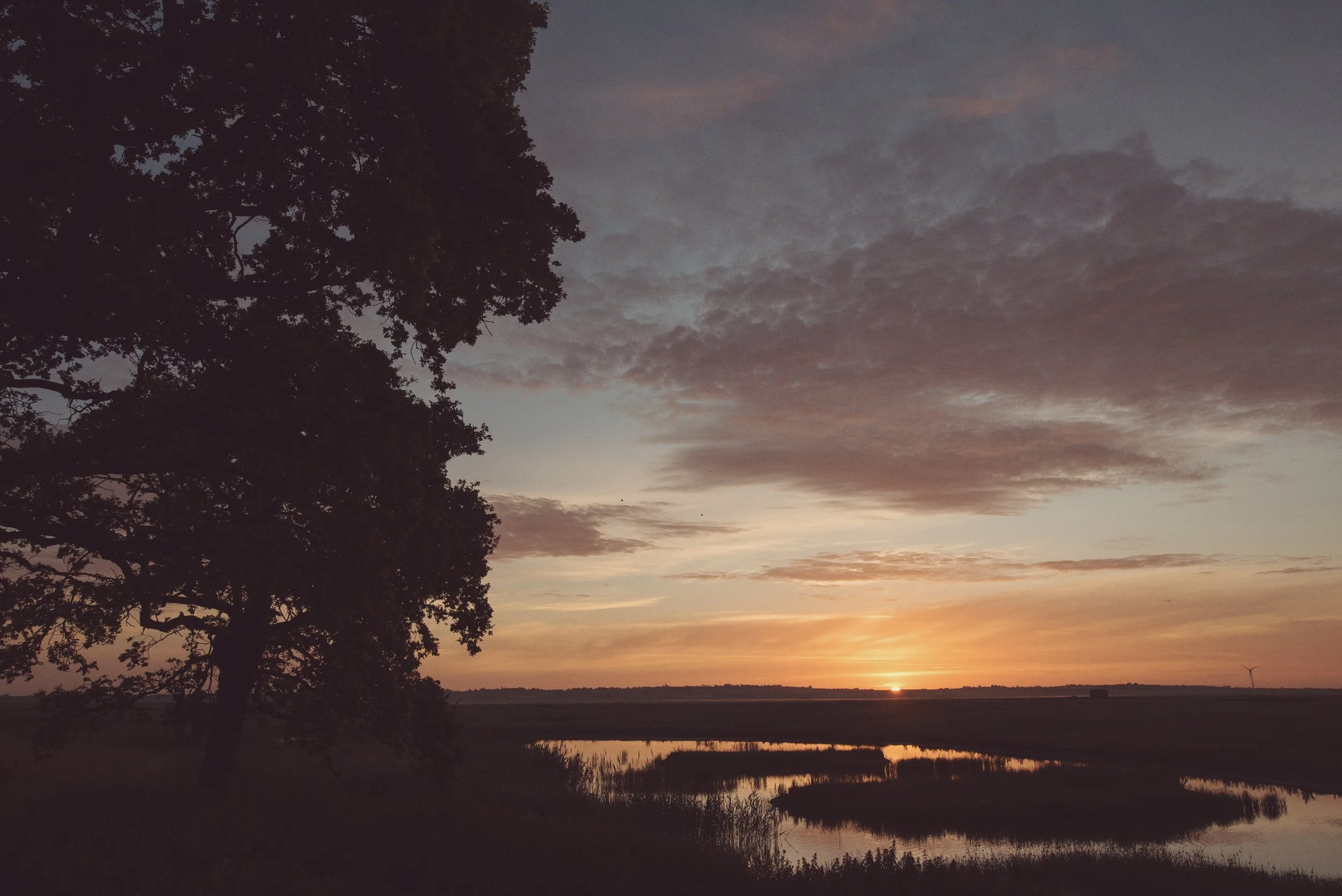 Elmley Nature Reserve Sunrise Monday 29th June 2015 -120.jpg