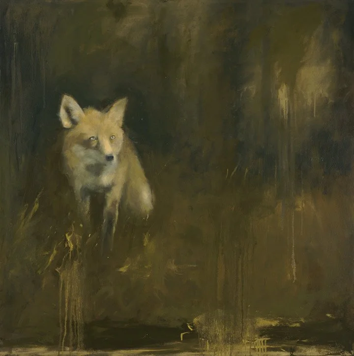 The Fox |  Oil on Canvas  |  48 x 48 inches