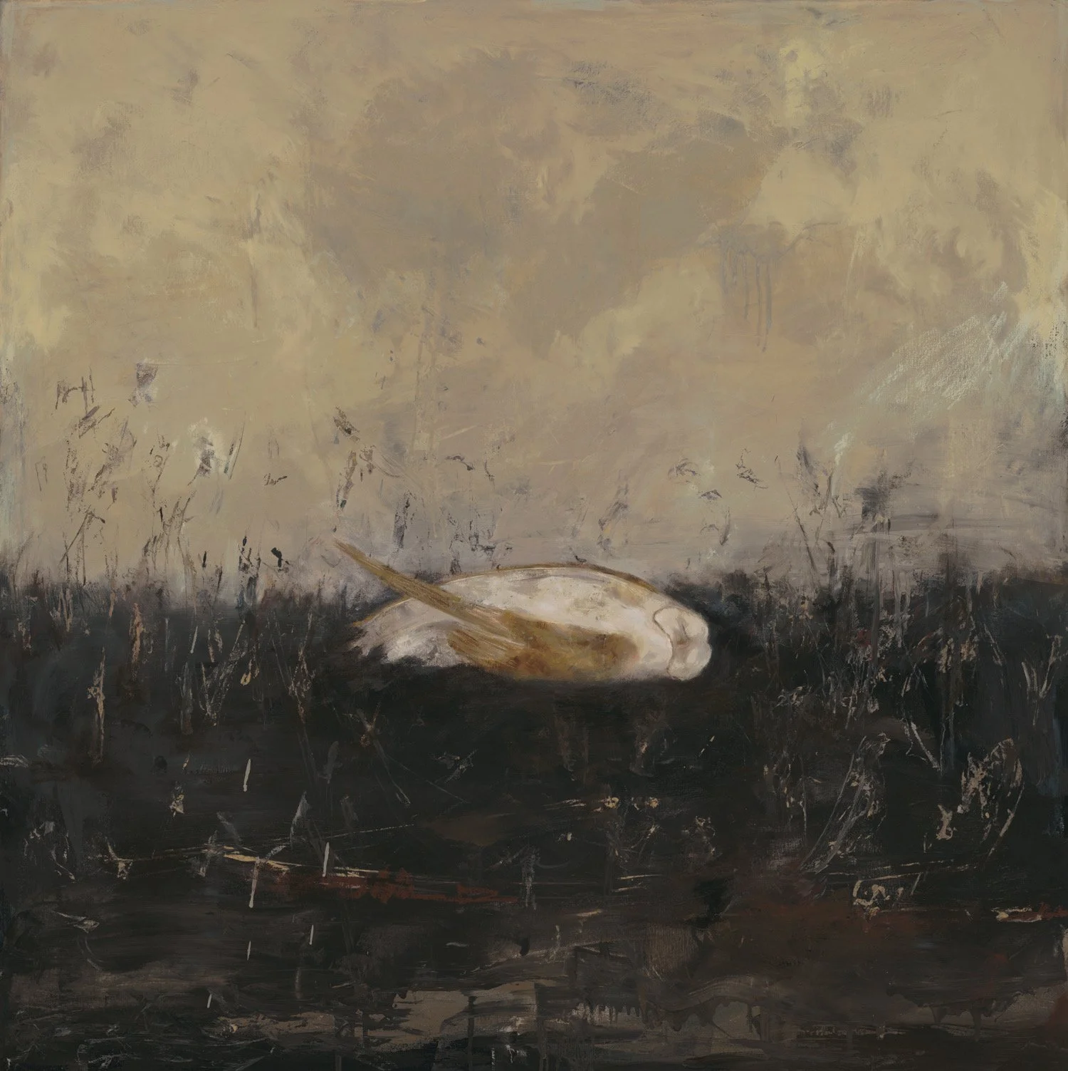 Offering  |  Oil on Canvas  |  48 x 48 inches