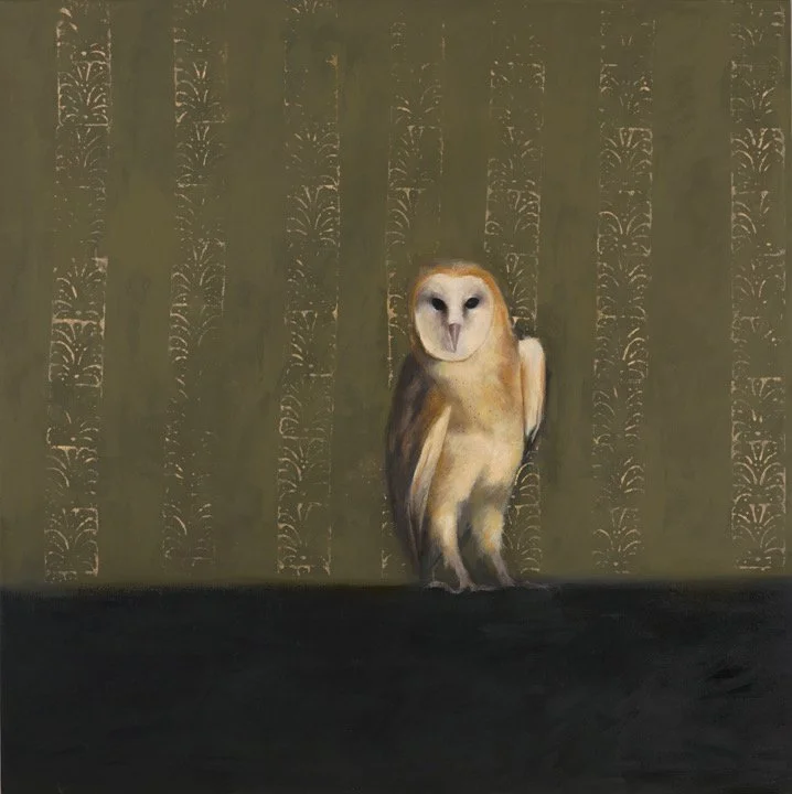 Barn Owl  |  Oil on Canvas  |  48 x 48 inches