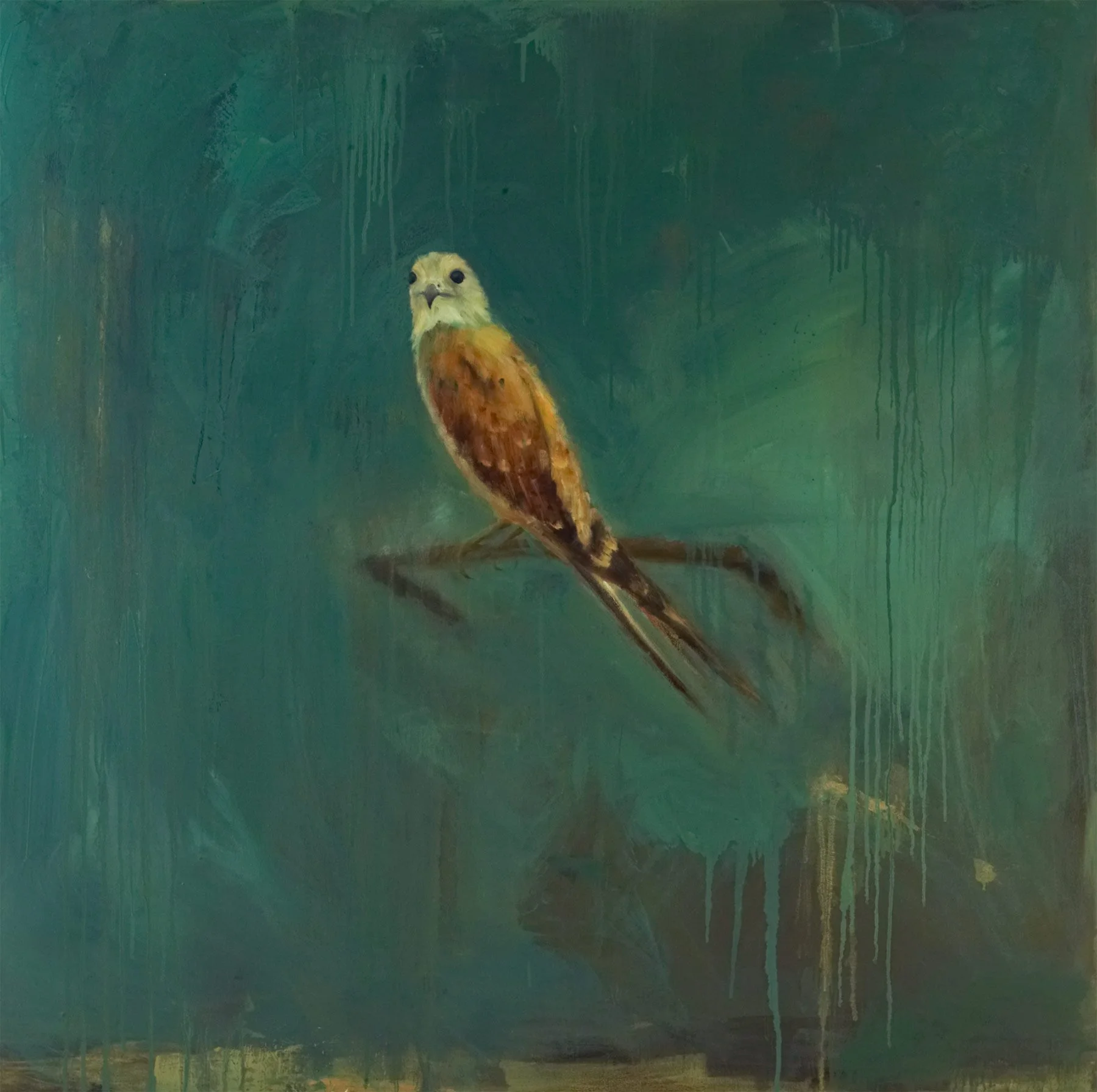 
Falcon |  Oil on Canvas  |  48 x 48 inches