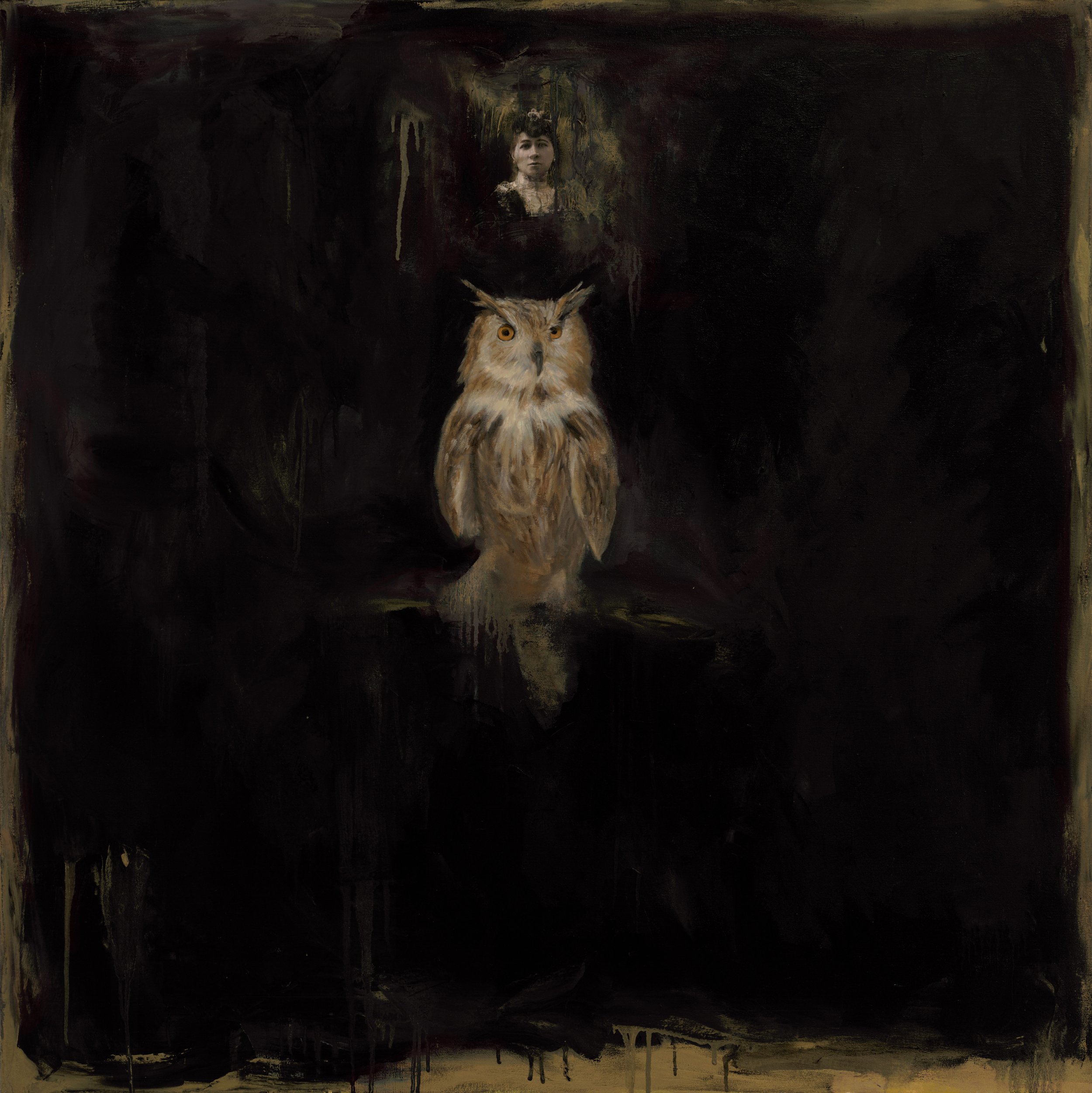 Owl Wisdom |  Oil on Canvas  |  48 x 48 inches