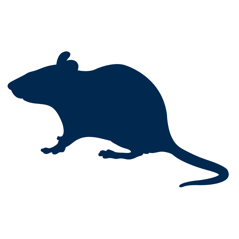 Silhouetted image of a rodent.