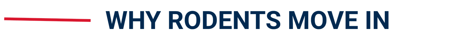 Text graphic with the title 'Why Rodents Move In' in large blue font, with a red underline.