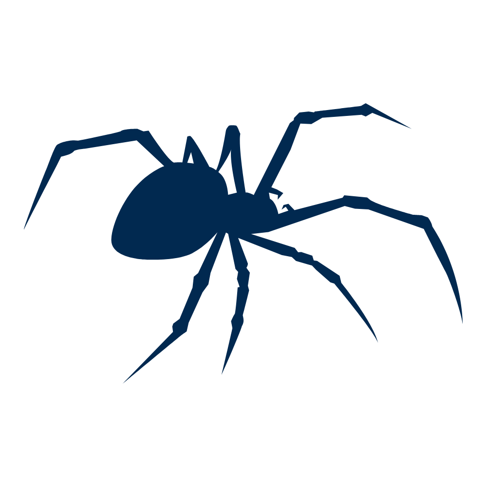 Silhouette of a spider with long legs to show household spider pest control.