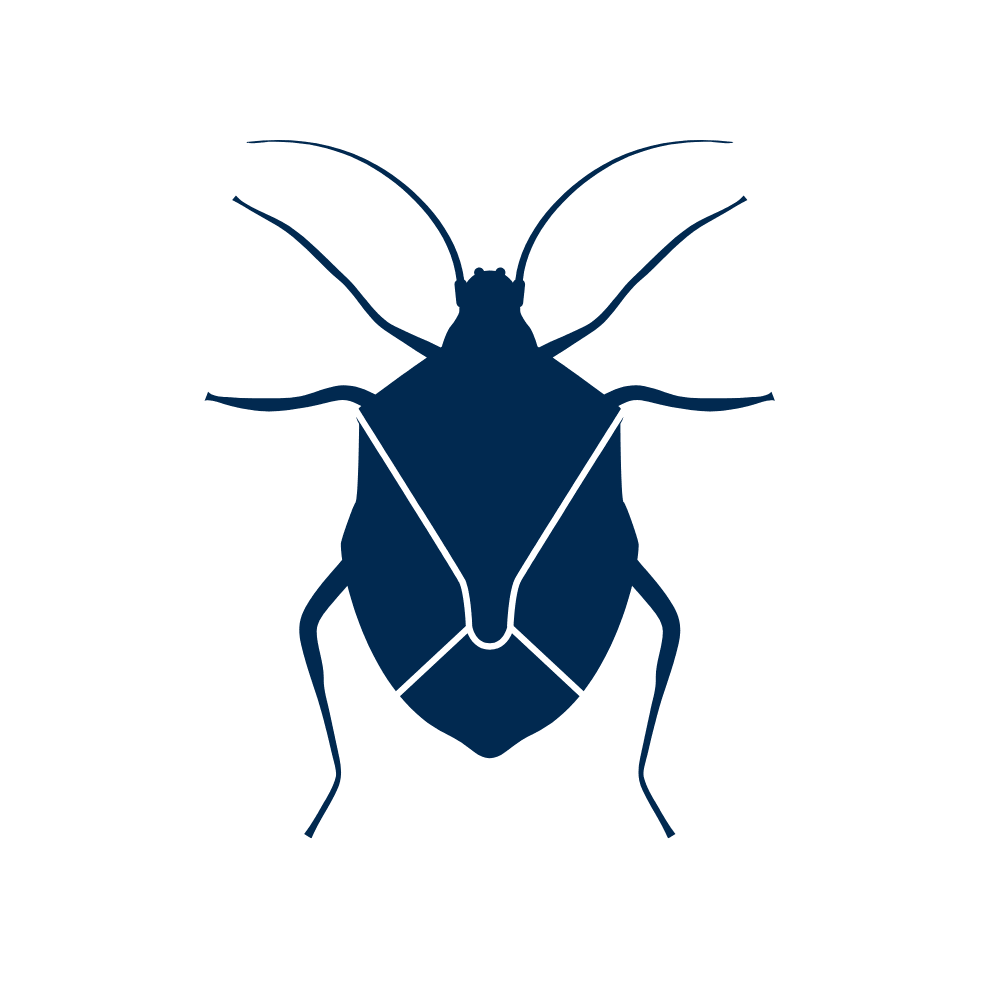Icon of a stink bug.