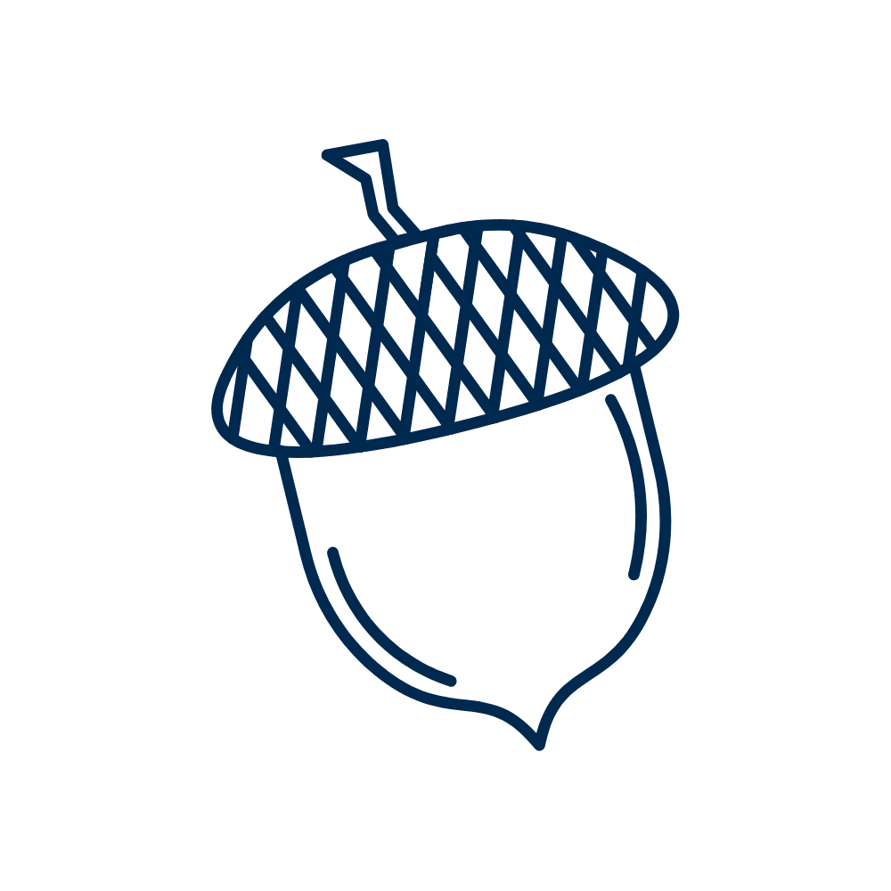 Outline drawing of an acorn with a cross-hatch pattern on the cap.