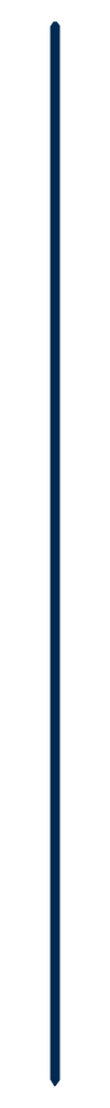 A long black pencil with a blue tip standing vertically against a white background.