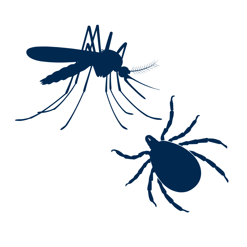 Silhouettes of a mosquito and a tick to show the services offered by Mass Tick & Mosquito.