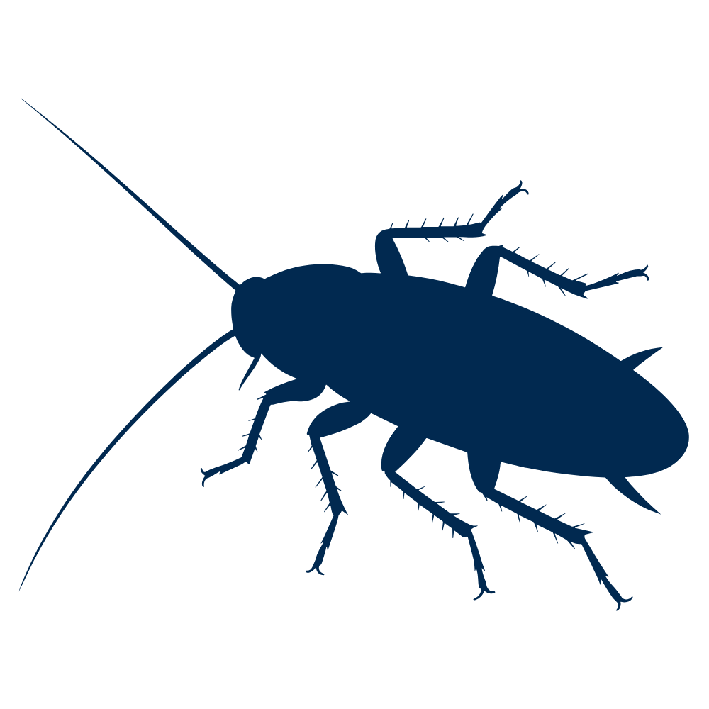 Silhouette of a cockroach insect to show the General Pest Control service offered to MA residents and businesses.