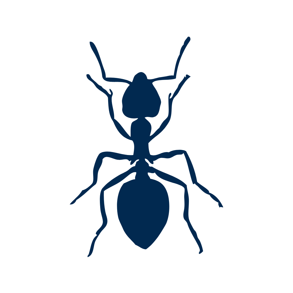 Silhouette of an ant to show ant pest control services.