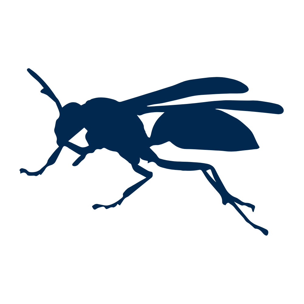 Silhouette of a wasp showing stinging insect pest control services.