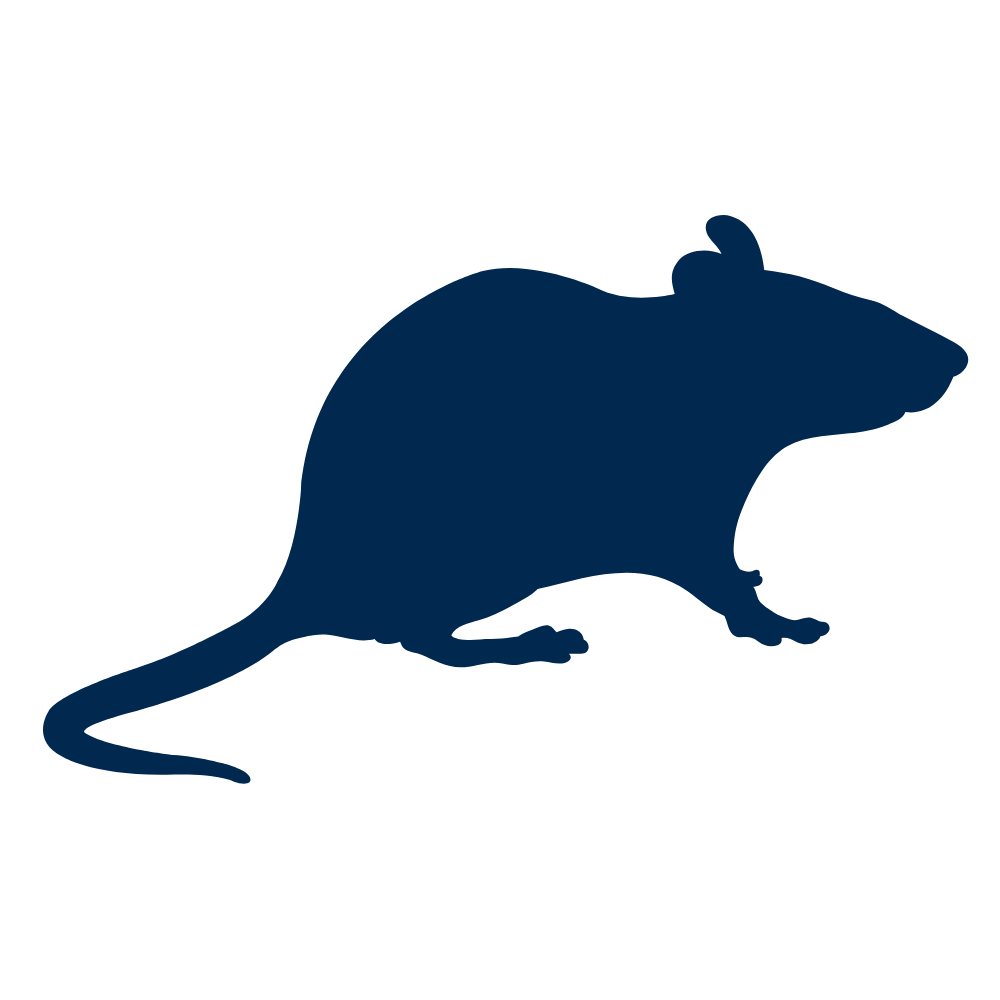 Silhouette of a mouse to show rodent pest control services.