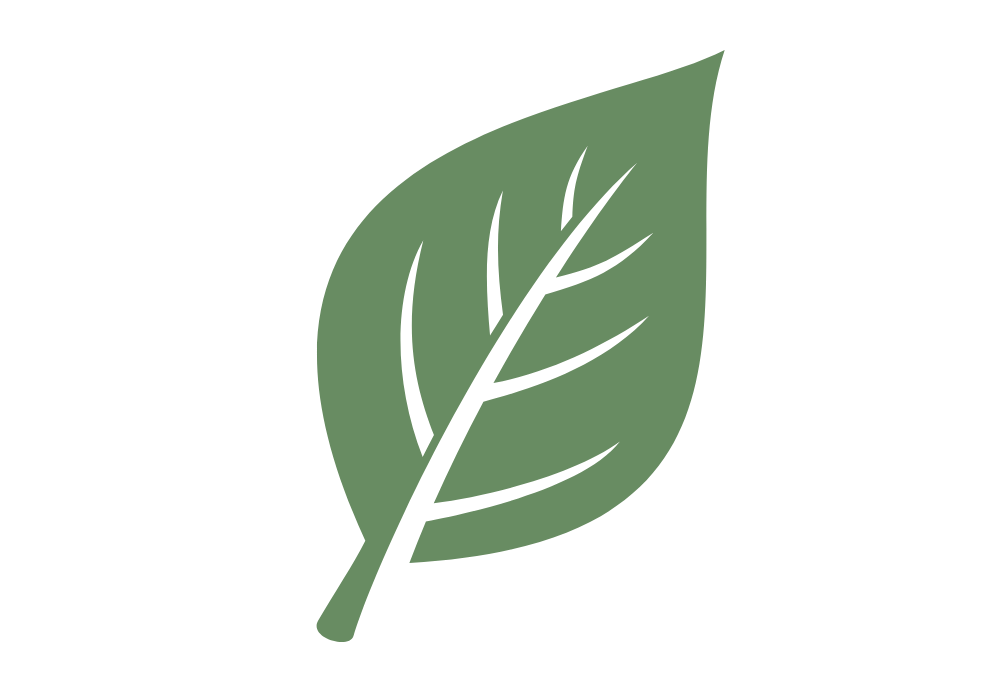 A green leaf icon to highlight the organic pest control options available for customers in Massachusetts.