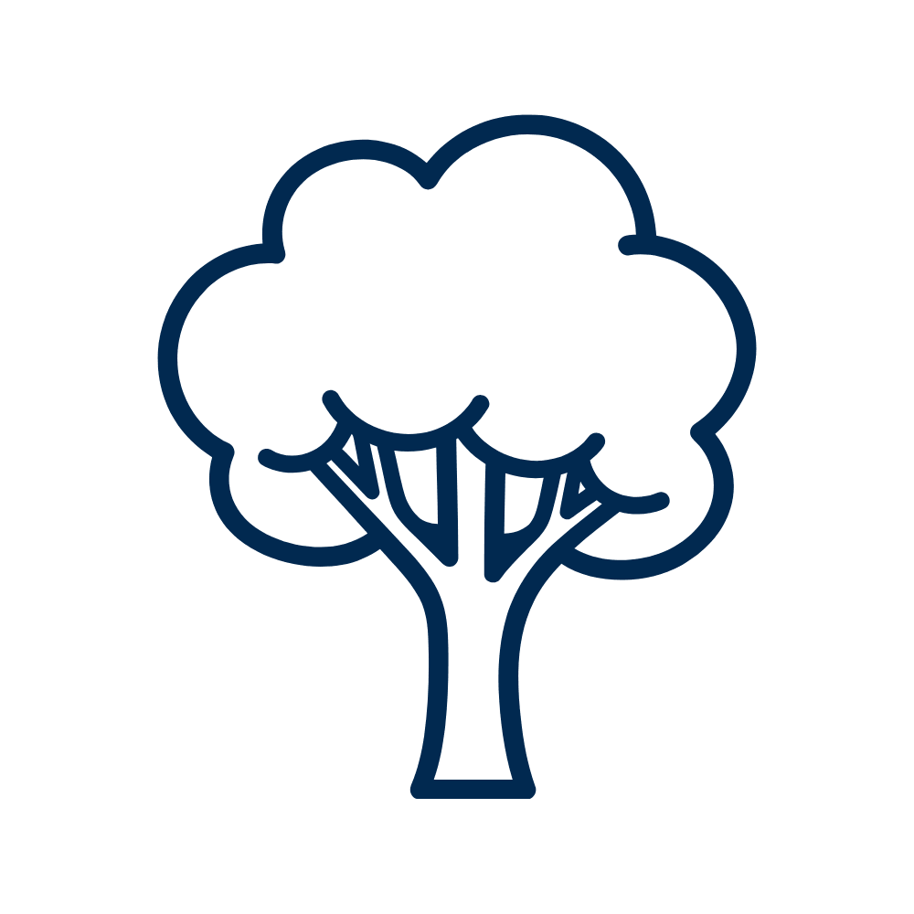 Outline drawing of a tree to show pest control solutions for wooded areas.