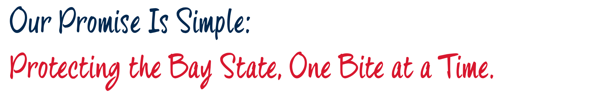 Text graphic with the message: "Our Promise Is Simple: Protecting the Bay State, One Bite at a Time."