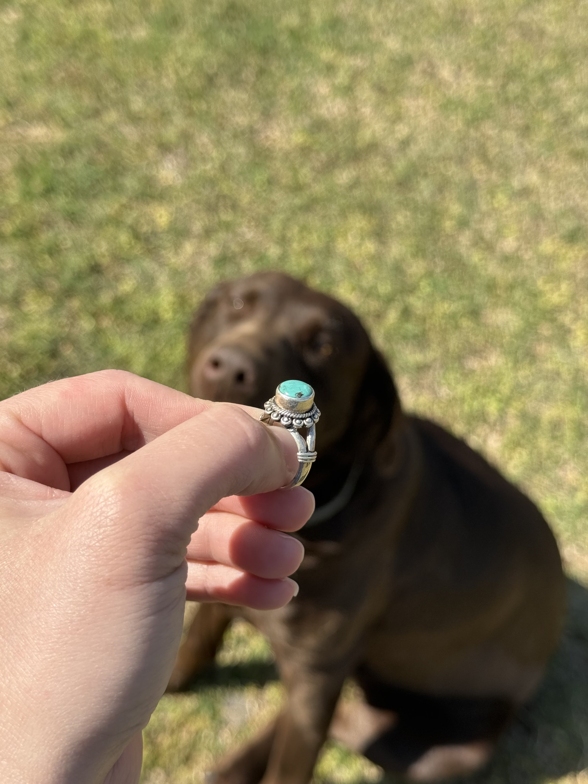 IMG_0214.jpeg