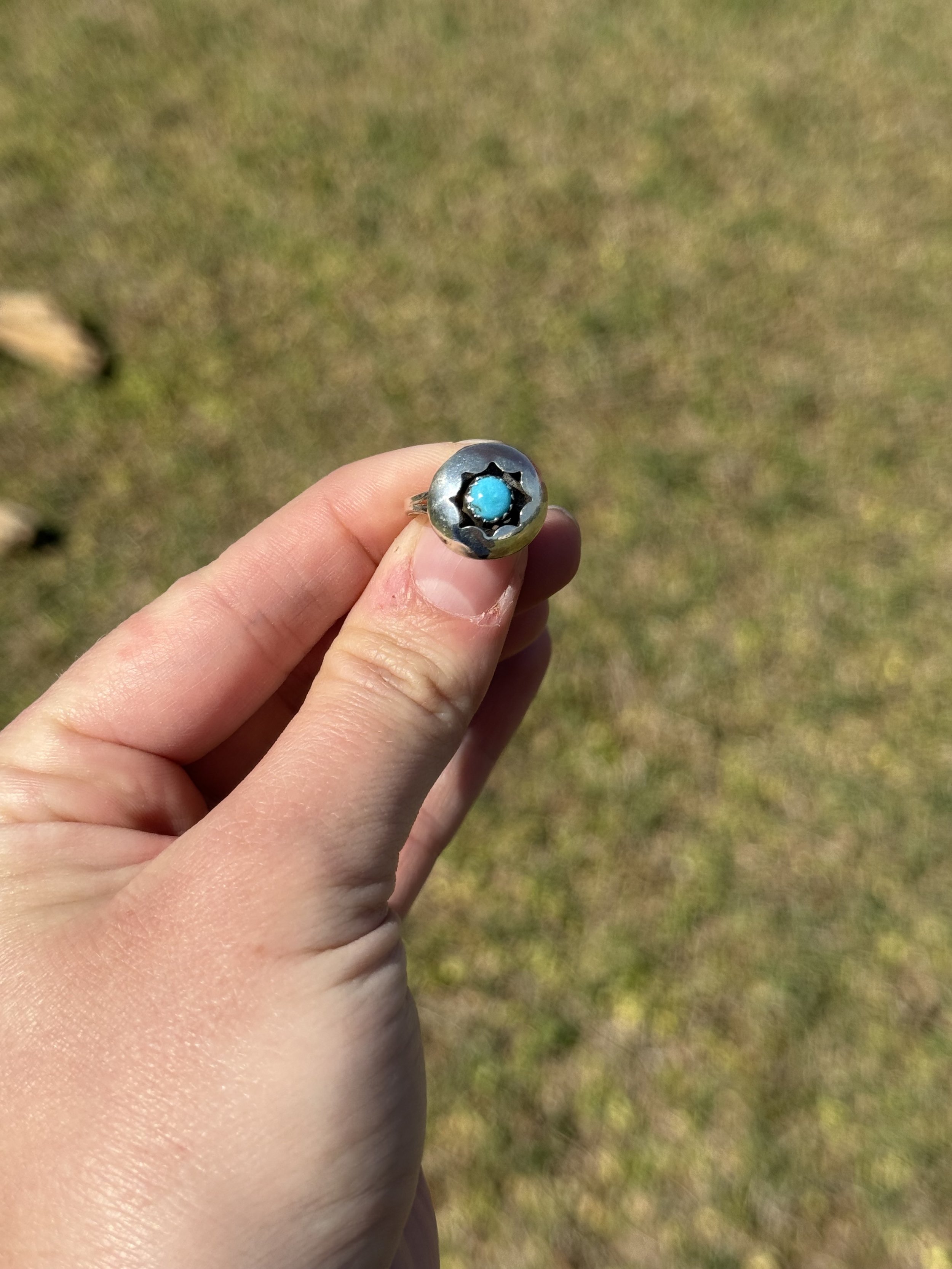 IMG_0224.jpeg