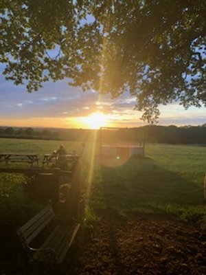 Sunset over a grassy field with trees and picnic benches.