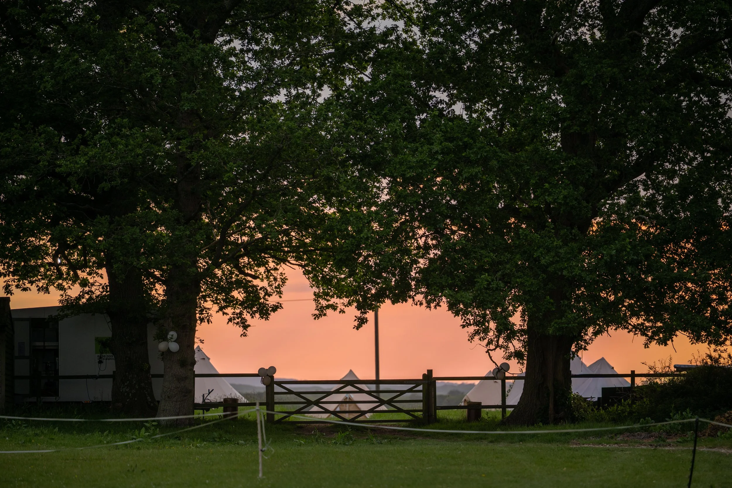 tents in the field at sunset
