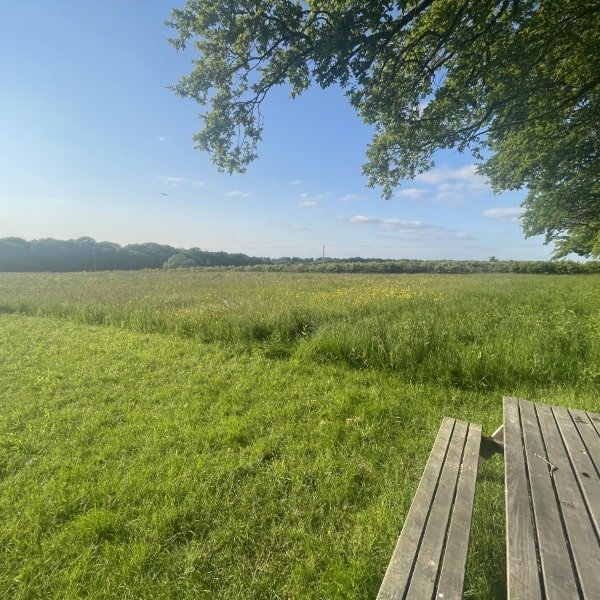 bench.jpg