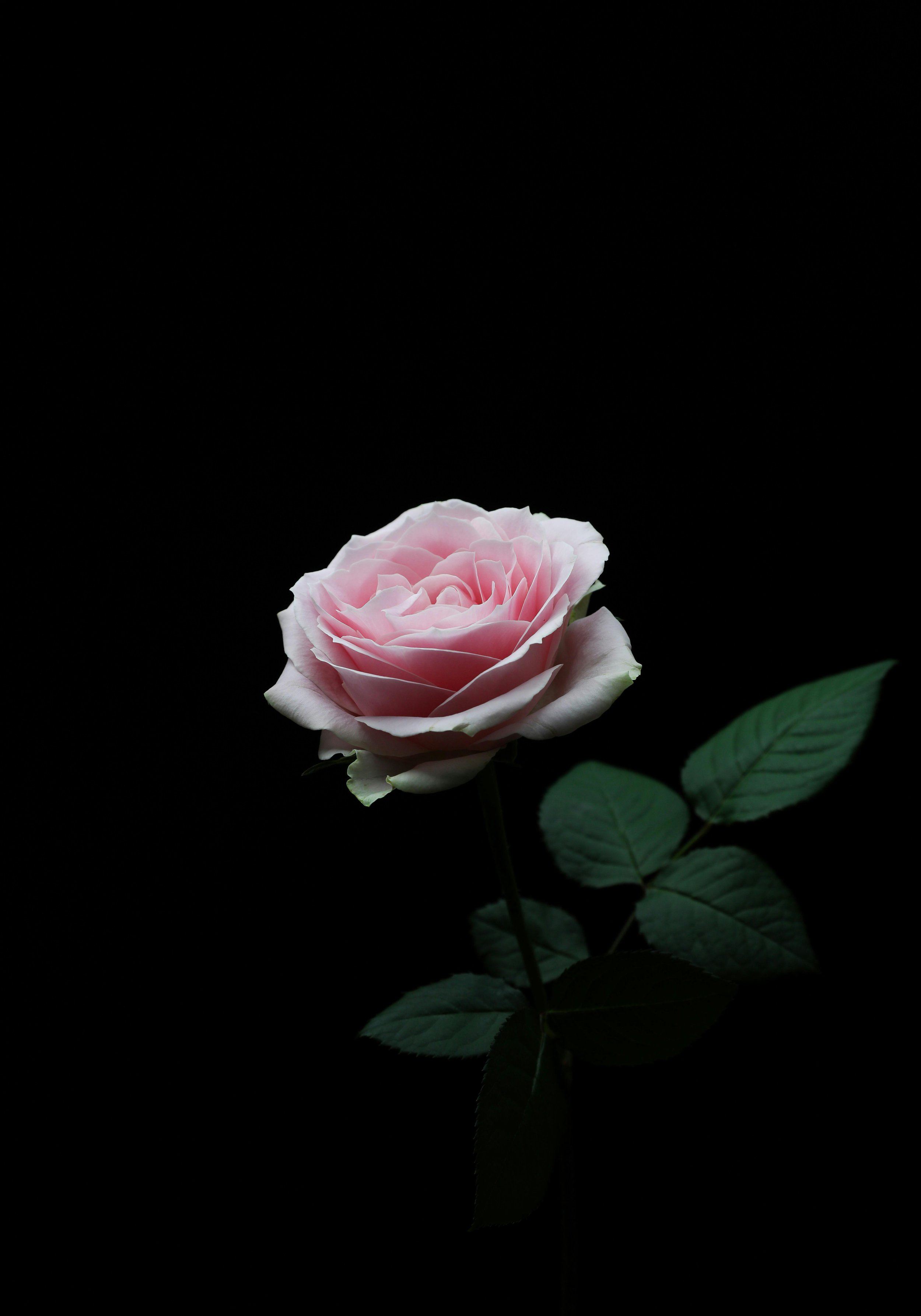 zhengtao-tang-xIyq6MJ7G3E-unsplash.jpg