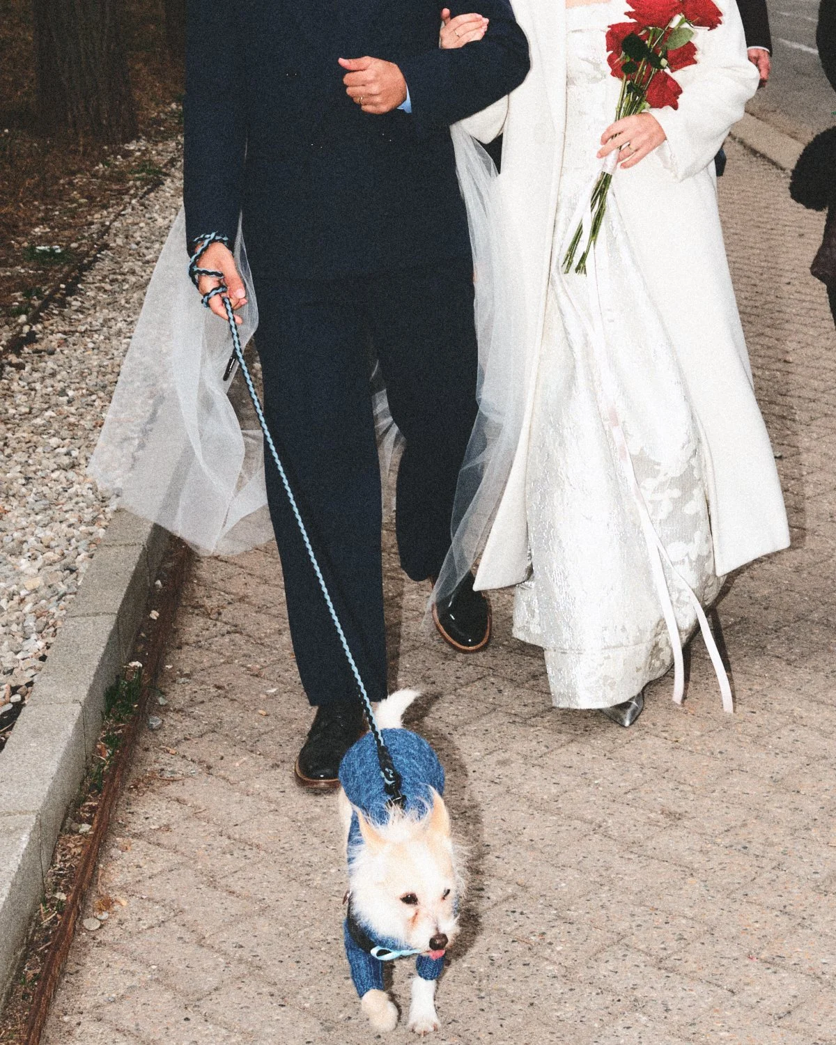 A bride and groom walking outside, holding hands in NYC. The bride is holding a bouquet of red flowers. The groom is in a dark suit. A small dog dressed in a blue sweater is walking in front on a leash.  Photographed by Madivan Studios