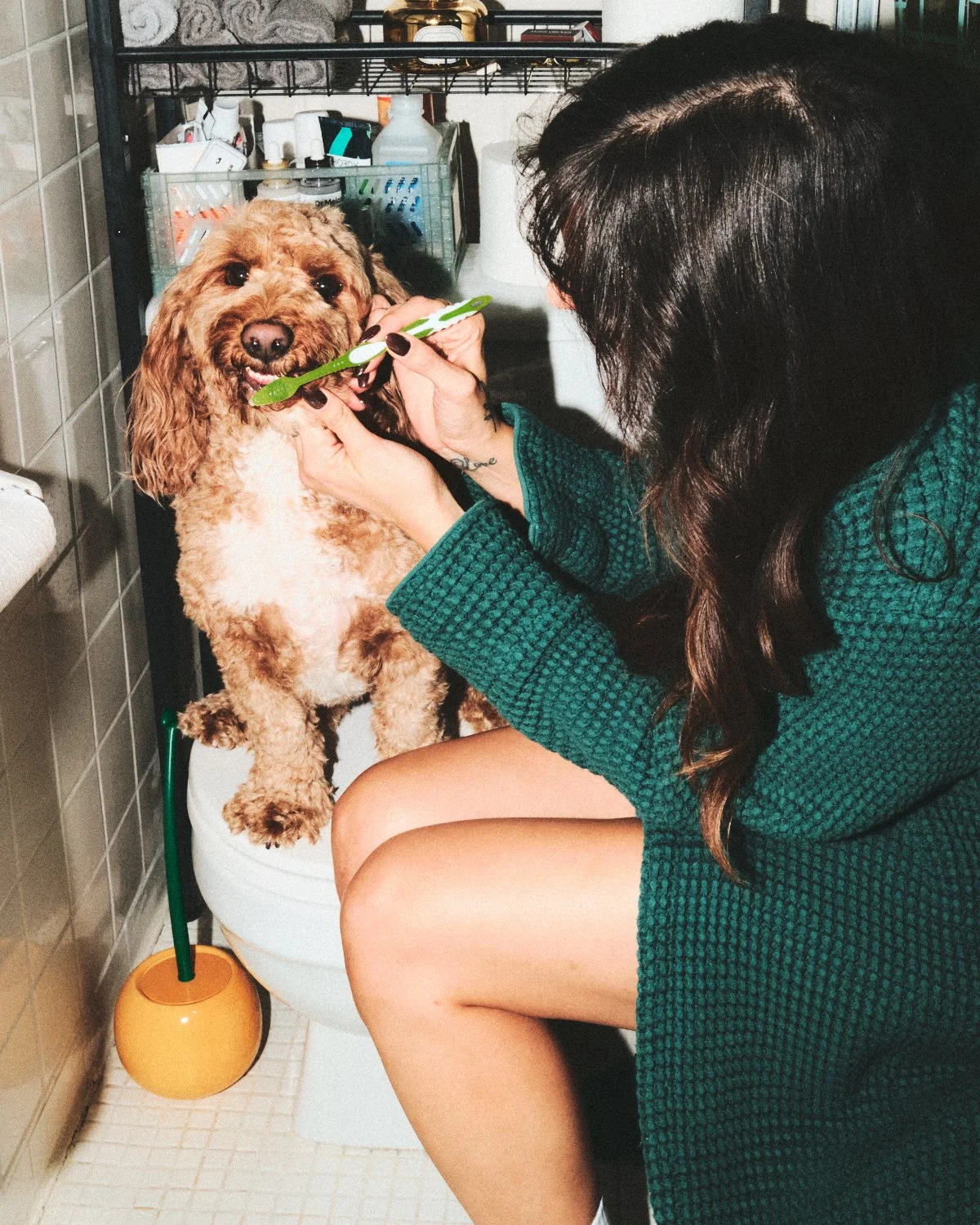 Documentary flash photography of a woman is trimming a dog's nails while the dog sits on a toilet in a New York City bathroom. They are being photographed by Madivan Studios.