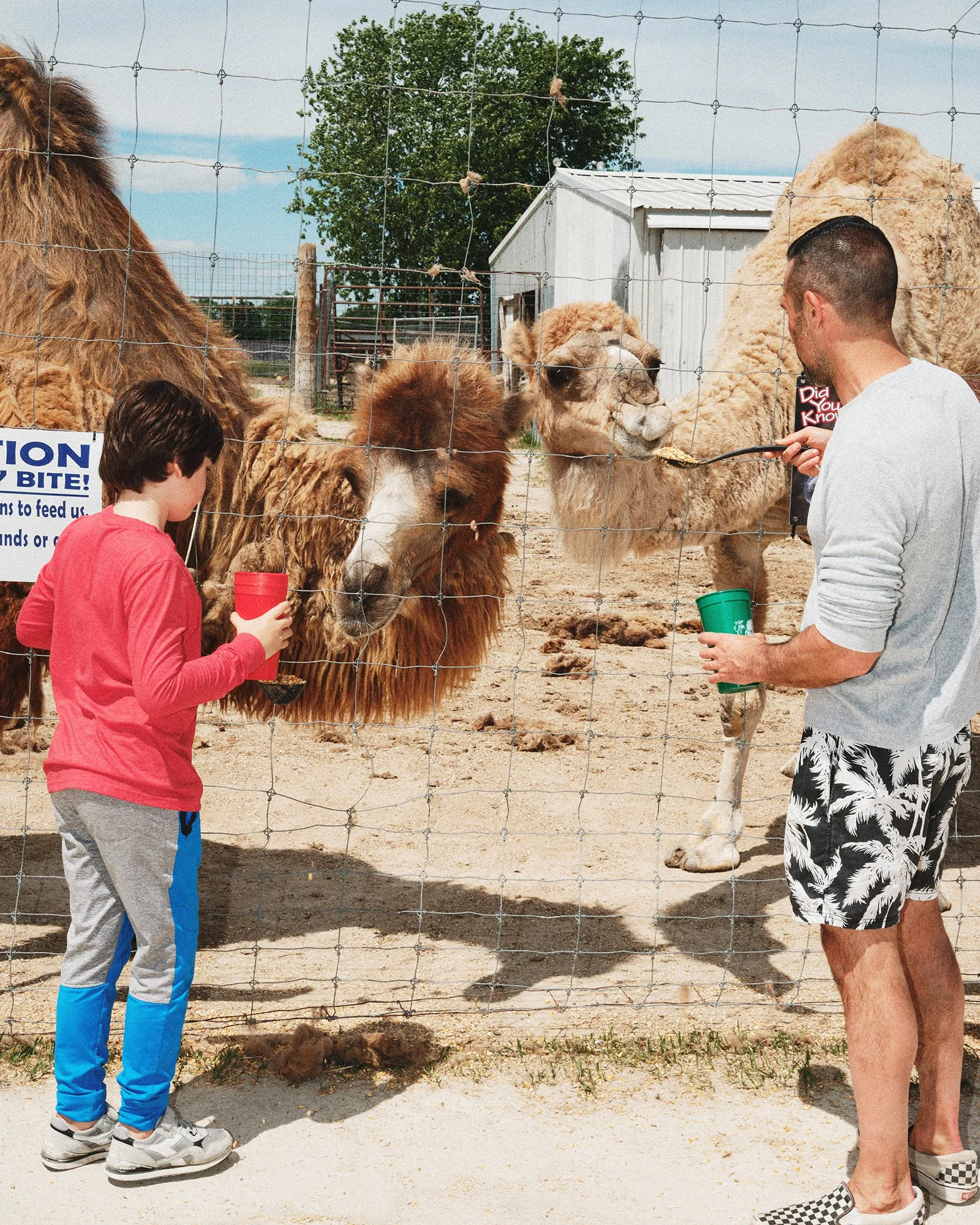 NYC Family Photography