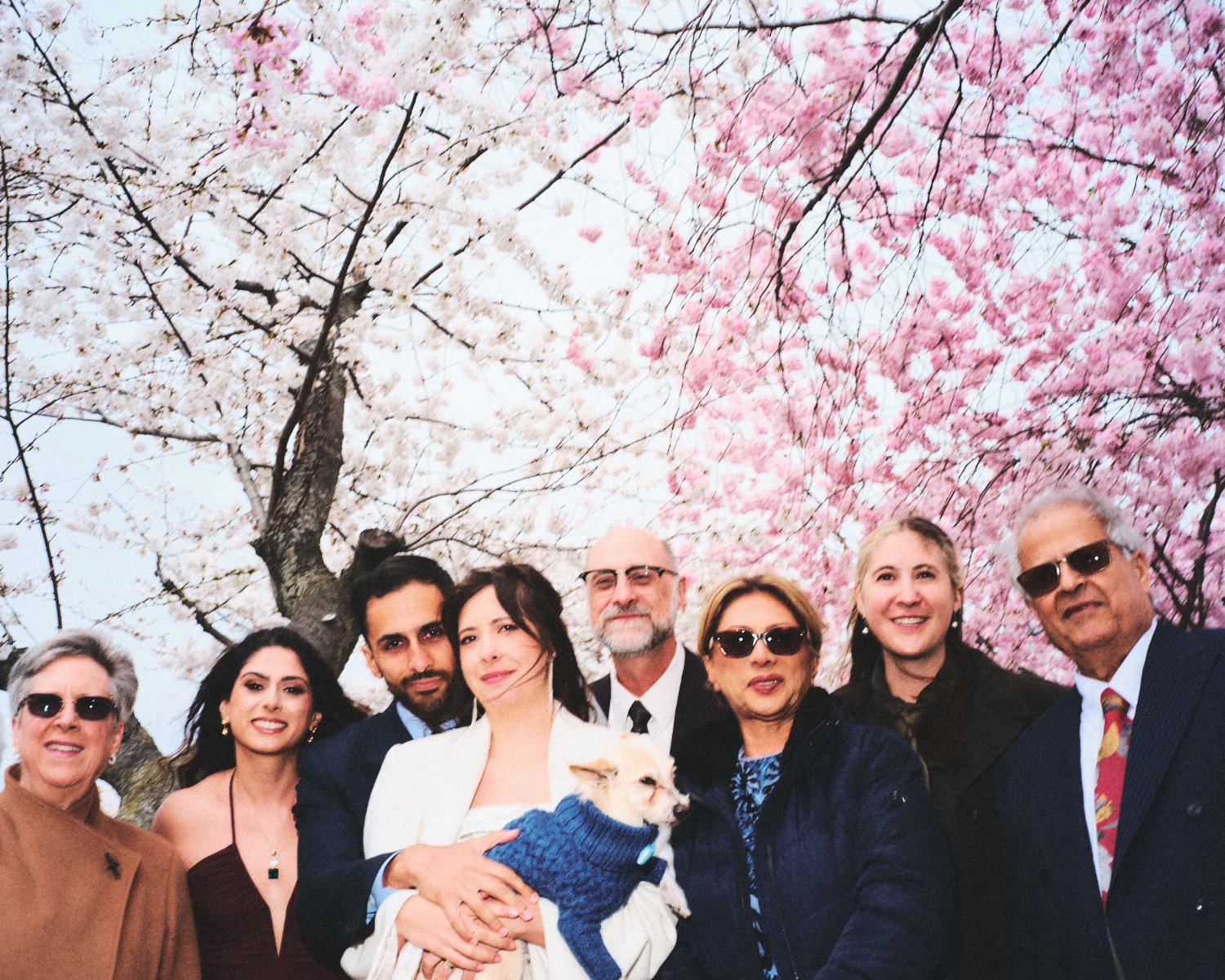 A wedding party of eight people and one dog, smiling and posing outdoors in front of blooming cherry blossom trees under a bright NYC sky. Photographed by Madivan Studios.