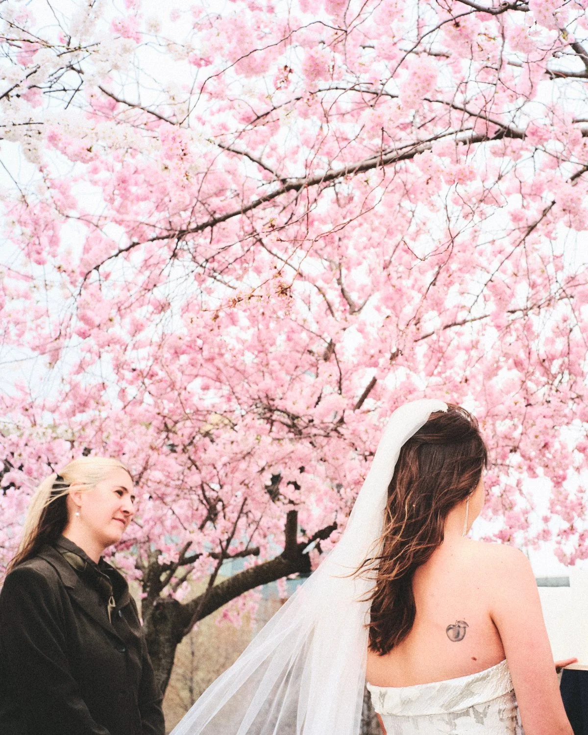 A bride with a white veil and an off-shoulder dress standing under a blooming pink cherry blossom tree, with a woman in black standing nearby, in an outdoor NYC setting photographed by Madivan Studios.