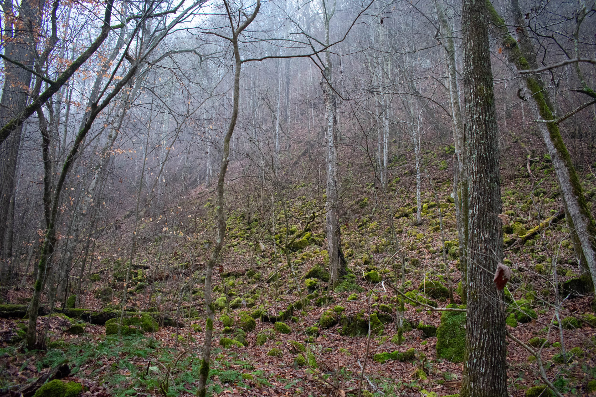 _DSC0015.jpg